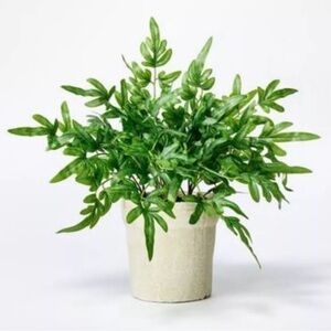 Faux Ribbon Fern 13”H Potted Plant - Threshold designed with Studio McGee